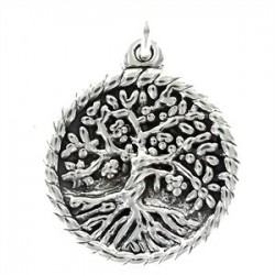 Colgante plata Promojoya