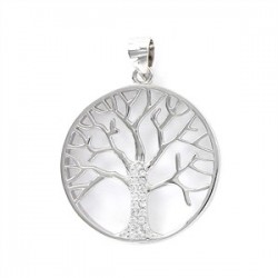 Colgante plata Promojoya